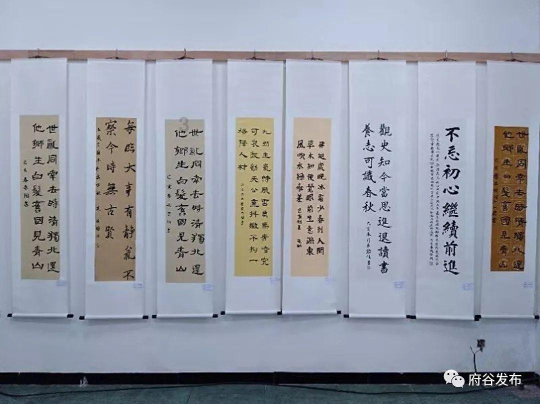 美人鱼游玩